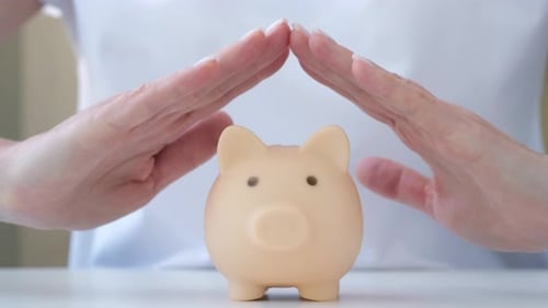 Person Holding Hands Above Piggy Bank Savings Security and Deposit Insurance