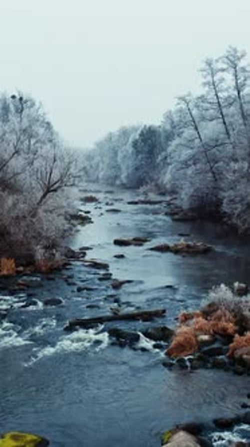 Flying over the narrow river in winter. Trees covered by snow near the river.