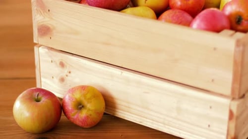 Wooden crates filled with fresh, red apples
