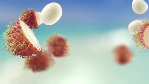 Flying Rambutan and Rambutans Slices in Beach Tropical Summer Background