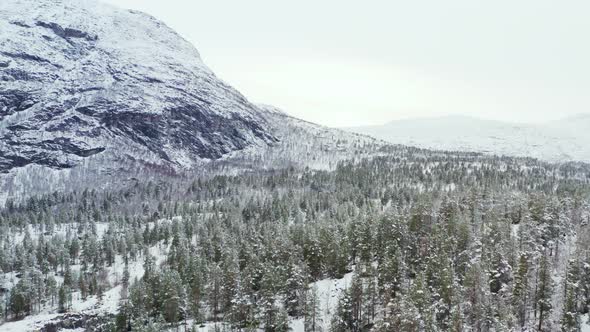 Snowscape Coniferous Forest With Rugged Mountains At Innlandet County ...