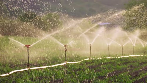 Field Irrigation