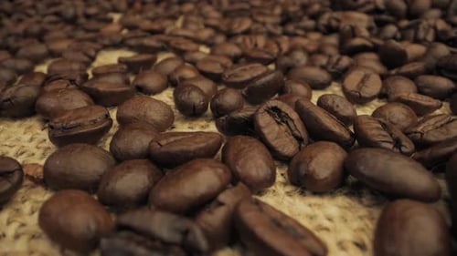 CloseUp View of Roasted Coffee Beans on a Burlap Surface