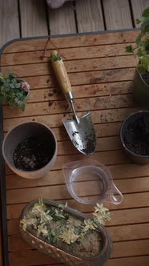 Collection d'outils de jardinage et de plantes éclatantes agencées avec art sur une surface de table en bois