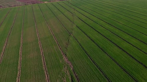Sendero de la línea de falla, Quake
