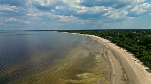 Aerial drone shot flying high over sandy beach along the coastline covered with green vegetation.