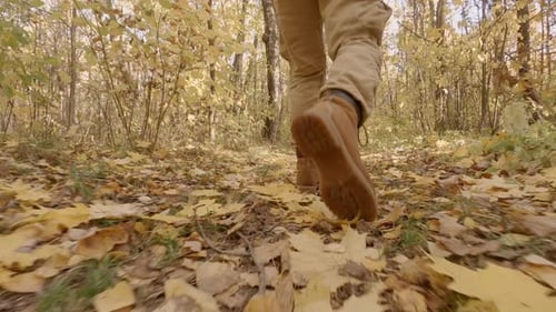 Woman walks through autumn park.