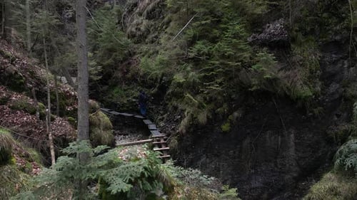 High Angle View of a Man Walking on a Wooden Path Over the Stream in the Woods