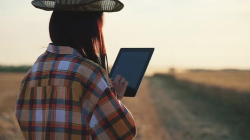 Farmer Stands in Wheat Field and Uses Digital Tablet to Work on Sunset Background