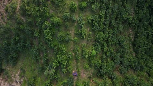 Top down aerial view of a traveler man walking on hill trail. Drone descending slow motion shot