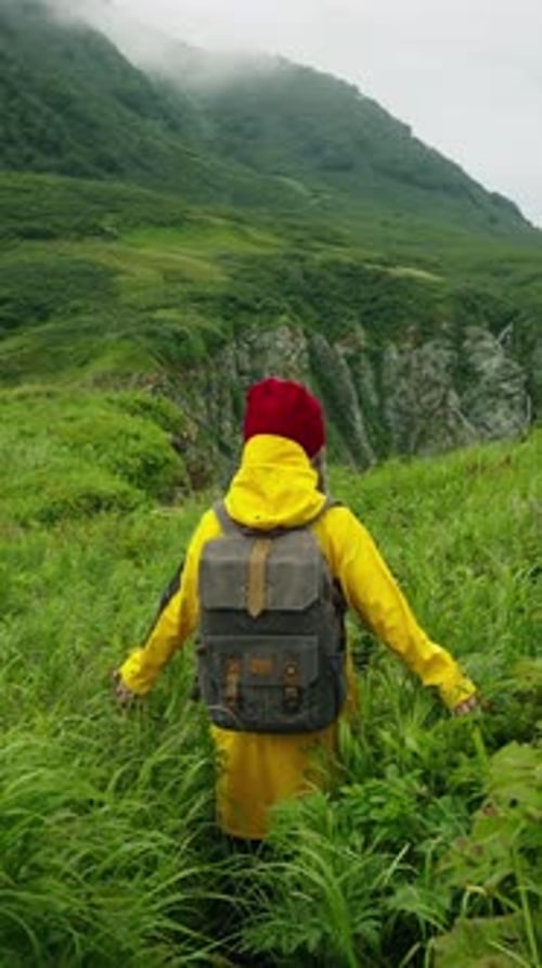 A Journey Through Green Landscapes Embracing Nature's Beauty in Vibrant Yellow and Red Attire Amidst
