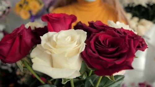 Woman in Gloves Arranges Bouquet with Red and White Roses