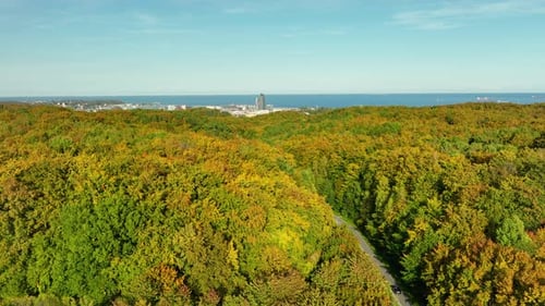 Vue surélevée sur la luxuriante forêt de Witomino à Gdynia, qui met en valeur les toits de la ville, les Sea Towers et la mer