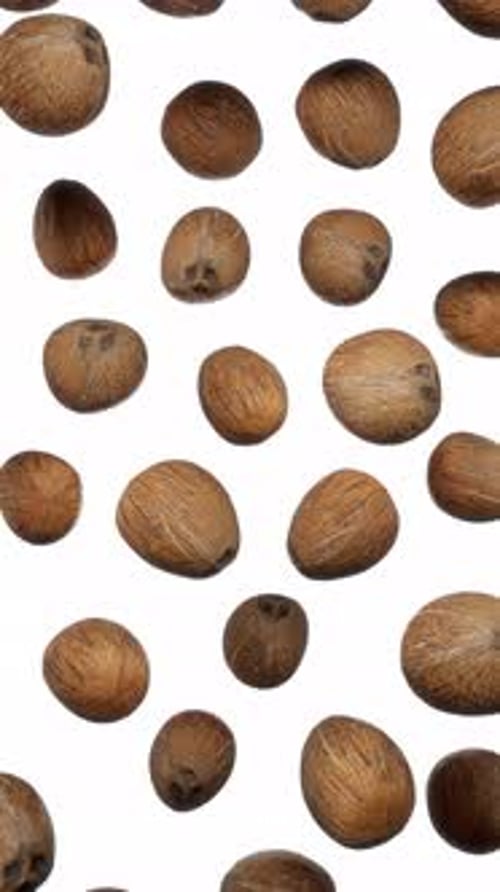 Tropical Coconuts Falling Against White Background