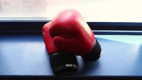 Bright Red Boxing Gloves Sit on Windowsill