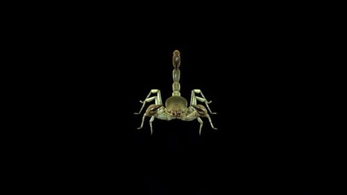 Realistic 3D Scorpion Animation with Moving Pincers and Tail
