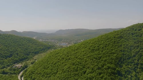 Flight Through the Green Forest Valley