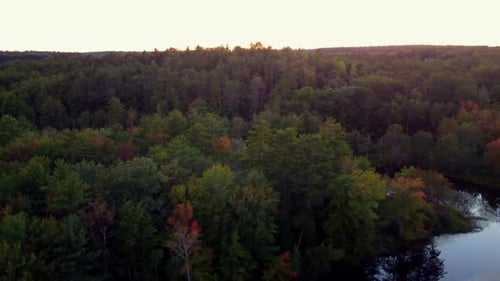 A long pan up drone shot from a small river to reveal forest and homes in the distance.
