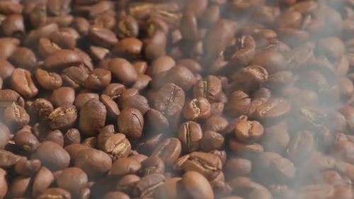 Slow motion of roasted coffee beans falling with smoke. Organic coffee seeds.