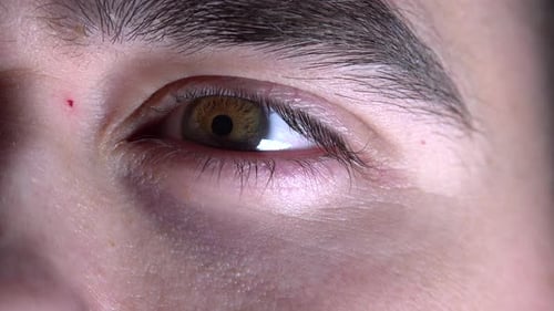 Die Augenpupille reagiert auf Licht
