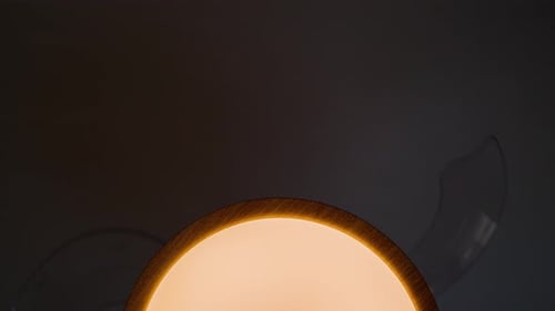 Close Up of Ceiling Fan Light Fixture