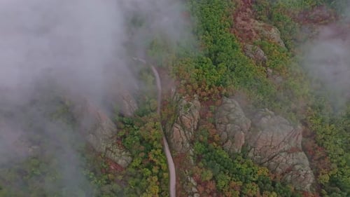 Vue aérienne d'une route sinueuse à travers la forêt d'automne, Bulgarie.