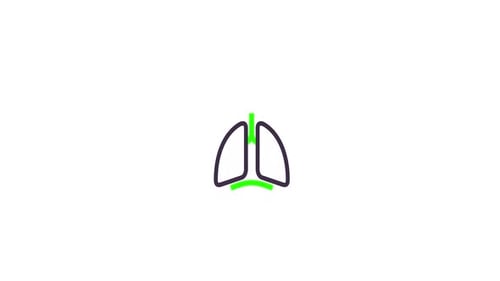 Line Animation of Human Lungs Breathing Icon