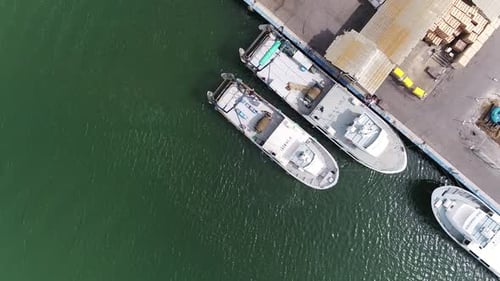 Luftbild über den spanischen Hafen, die an der Uferpromenade festgemacht haben. Rotierende Luftaufnahme. Leute laufen