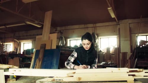 Woman Worker in the Carpentry Workshop, Making Plans