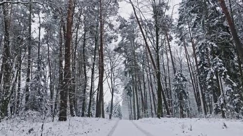 Vue aérienne de la forêt gelée enneigée et du chemin en hiver.