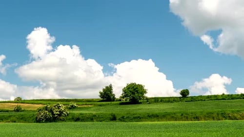 Paysage rural