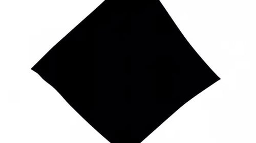 Minimalist Geometric Shape Reveal Screen Transition