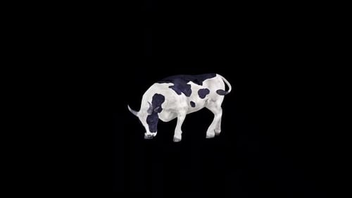 Banteng Eat Front