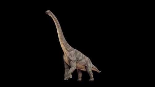 Brachiosaurus-Wandertour
