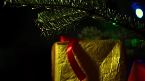 The Christmas Tree Branches with Bokeh and Presents Close Up