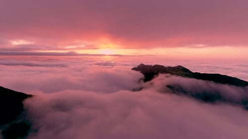 on the cloud