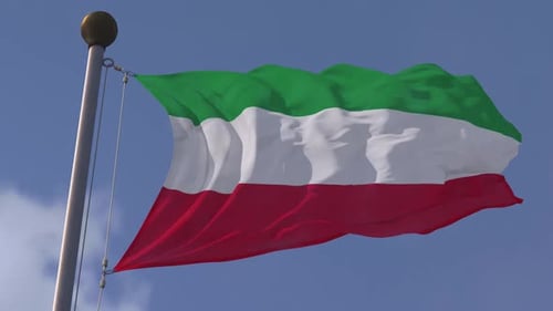 Realistic Green White Red Flag Waving