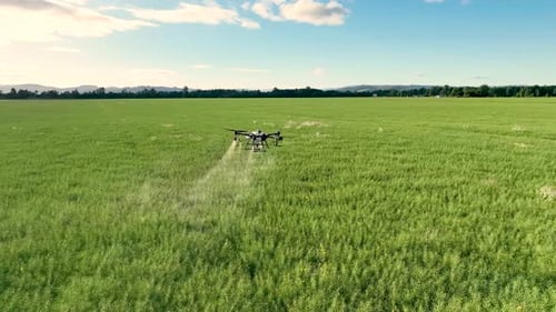 Drone Sprays Green Field Aerial View