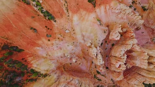 Weird rock columns in Bryce Canyon, Utah. Little greenery growing near the road in national park.