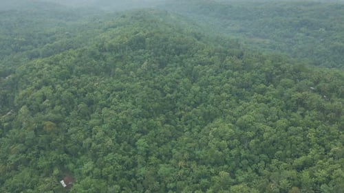 Aerial view of mixed tropical woodland. Endless greenery landscape of rainforest. Mountain hills for