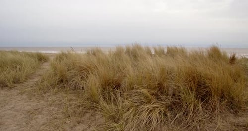 looking though the sand dunes Marram Grass and path. with the sea beyond on Ingoldmells, Skegness be