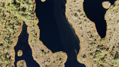 Kemeri Bog from Above - Tranquil Baltic Wetlands with Winding Water Bodies - 4K