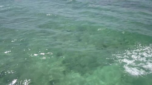 Drone Shoot In The Caribbean Beach With Pamsl Trees And Wood House 1