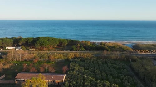 Pine Forest Near Mediterranean Sea Nature With Waves And Beach At Sunset