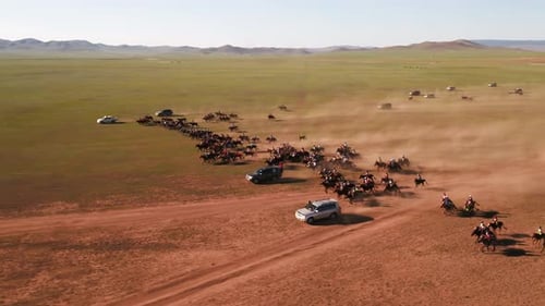 A group of Mongolian horseback riders training for a horserace in Mongolia called Naadaam. Dust cove