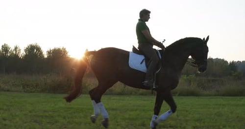 Zeitlupe eines jungen, sorglosen Mannes reitet bei Sonnenuntergang auf einem reinrassigen braunen Pferd in der Natur.