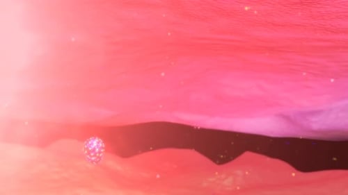 A pink and yellow virus on a pink background