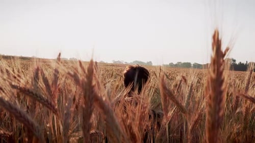 Young man sitting and relaxing amongst weat in a field at sunrise, sunset