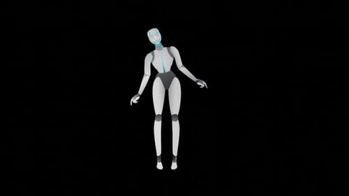 Animation or Computer Graphics of a Humanoid Robot Woman Standing Directly Facing the Camera and