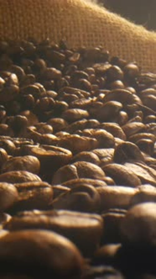 Vertical Coffee Beans
